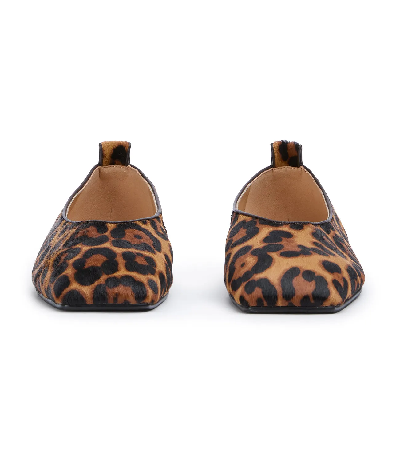 Hazel Brown Leopard