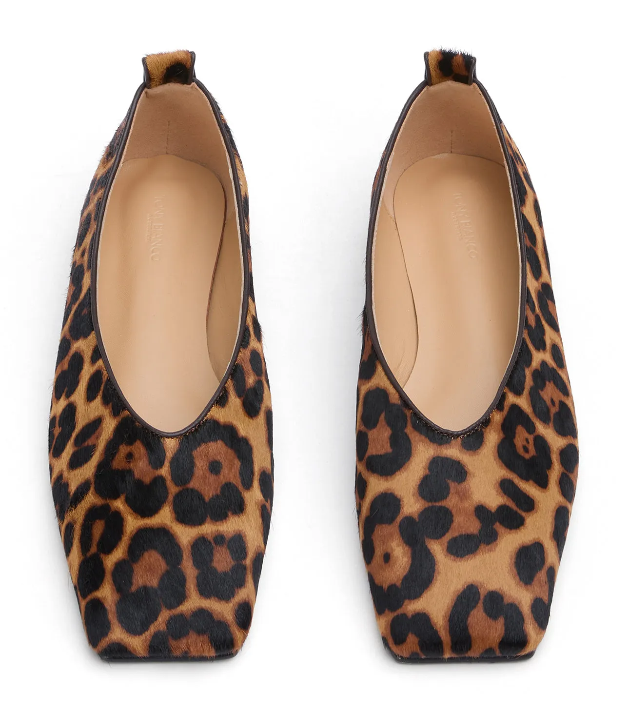 Hazel Brown Leopard