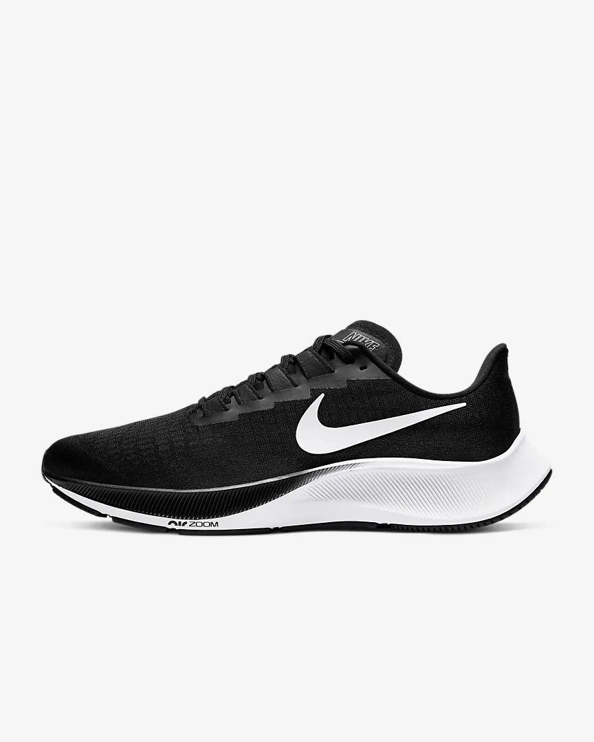Nike Men's Pegasus 37 (SALE)